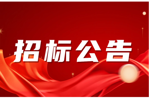 招標公告｜泰來九洲興泰生物質熱電項目--尾部煙道受熱面高壓沖洗--招標公告 (2)